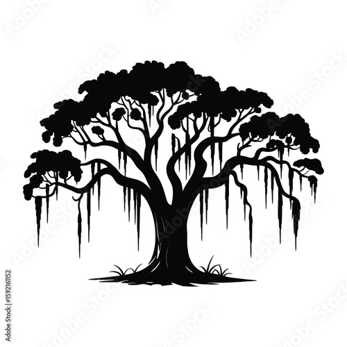 Spanish Moss Draping from Live Oak Tree Silhouette Vector Illustration