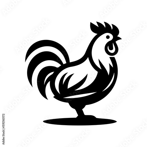 rooster vector illustration
