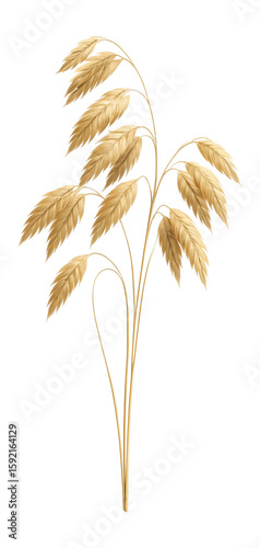 Spray of dried sea oats with slender stalks and feathery tips