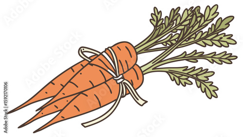 vector-of-baby-carrots-bundled-together-.svg