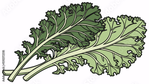 fresh kale with textured green leaves