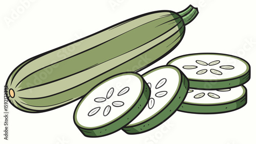 vector of zucchini sliced and whole on white backg
