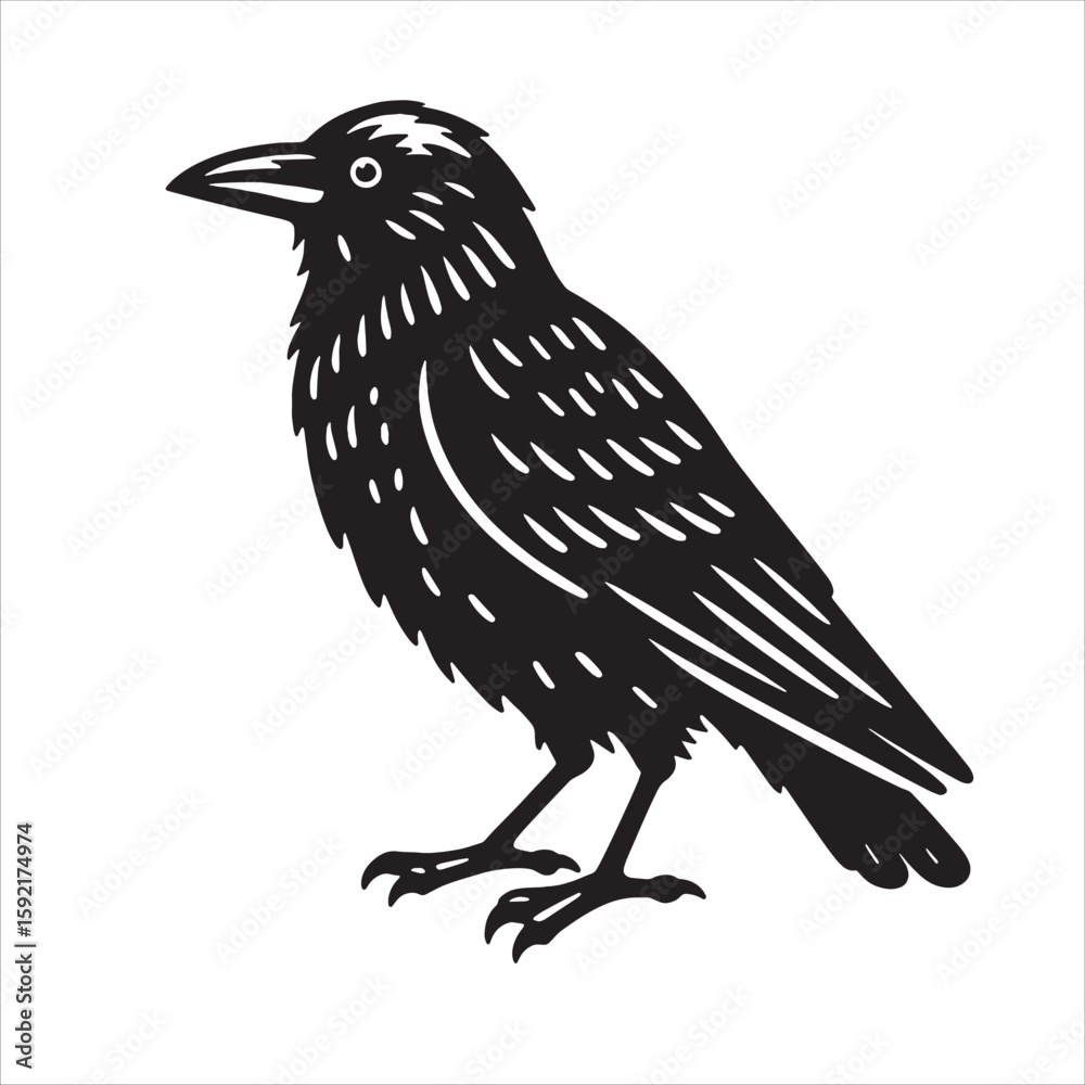 Fototapeta premium Crow svg
