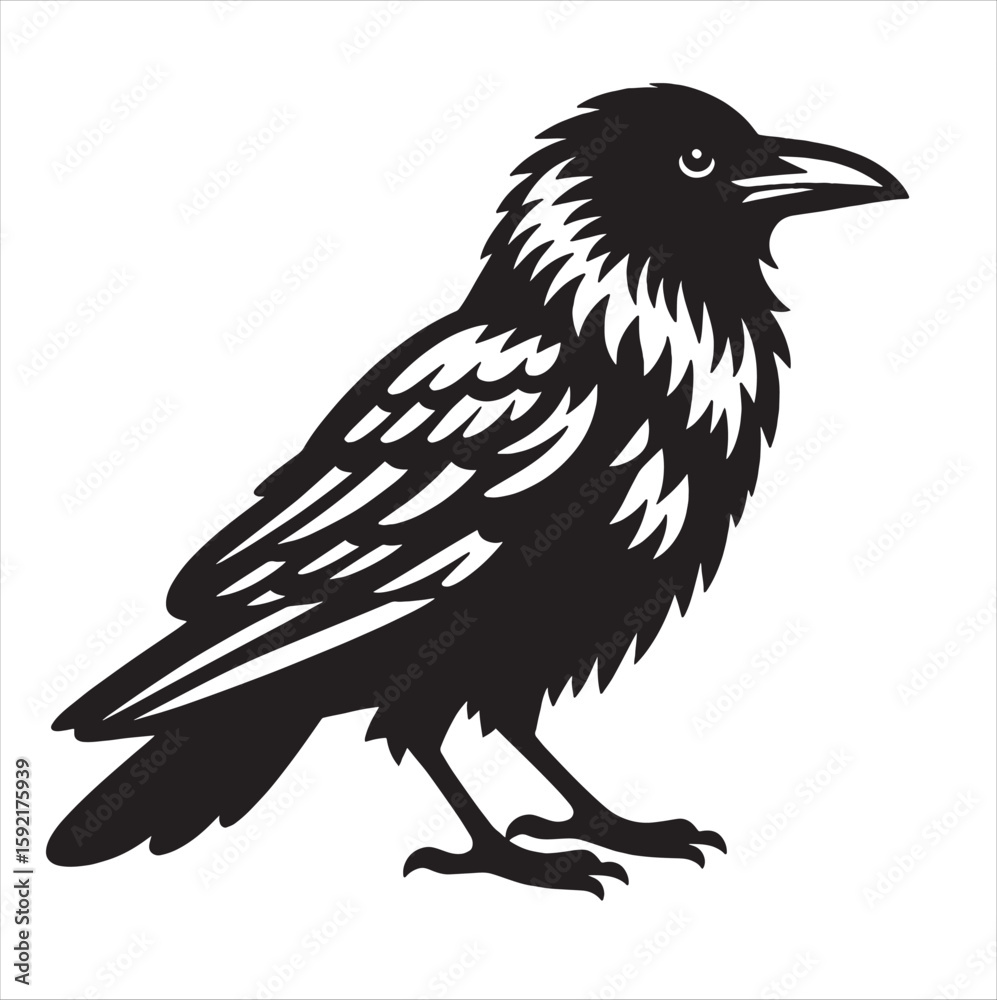 Fototapeta premium Crow svg