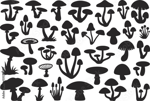 Mushroom silhouettes, fungi collection, botanical illustration set, nature graphic elements, black and white vector, educational drawing, cad artwork