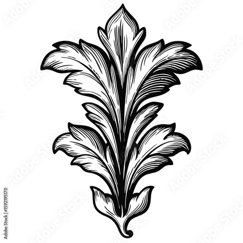 Intricate acanthus leaf motif in a vintage engraving style. Detail shows delicate foliage and swirls in an acanthus leaf motif, reminiscent of antique botanical illustrations.