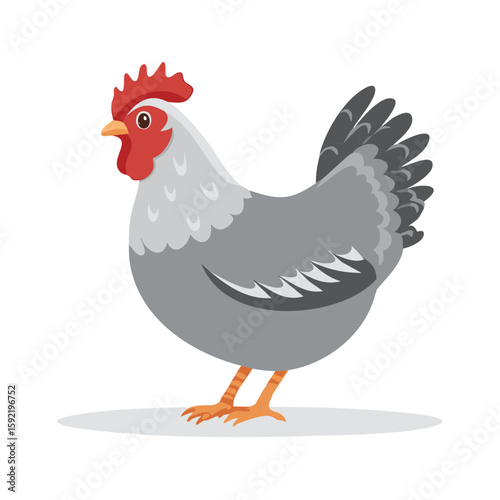 Chicken Cartoon Illustration Gray Rooster Poultry Bird Farm Animal Standing