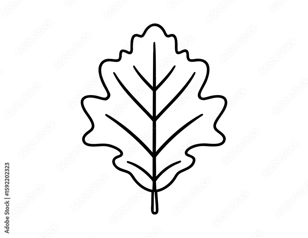 Fototapeta premium Oak leaf outline icon vector, perfect for botanical designs, educational materials, and minimalist autumn-themed graphics or eco-friendly branding projects.