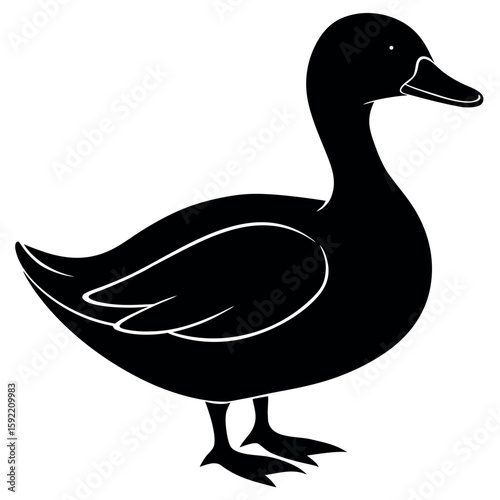 Wallpaper Mural 


      Beautiful duck silhouette vector illustration.
 Torontodigital.ca