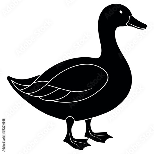 


      Beautiful duck silhouette vector illustration.
