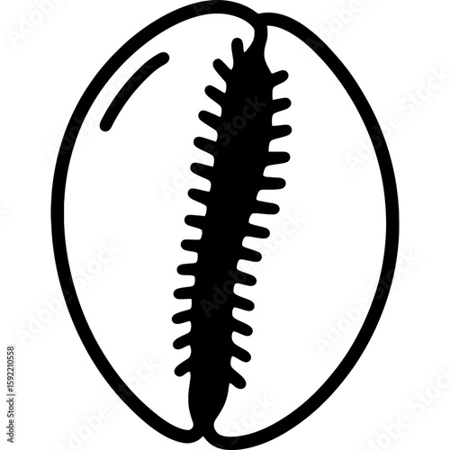 Cowrie shell smooth glossy oval outline icon vector