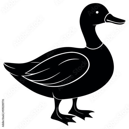 


      Beautiful duck silhouette vector illustration.

