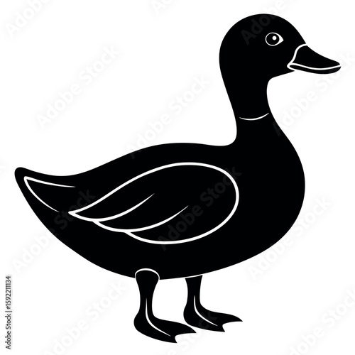 


      Beautiful duck silhouette vector illustration.
