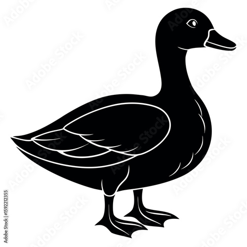 


      Beautiful duck silhouette vector illustration.
