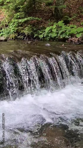 Handheld video of a clear mountain stream flowing over rocks through lush green forest on the trail to Shypit Waterfall in the Carpathians