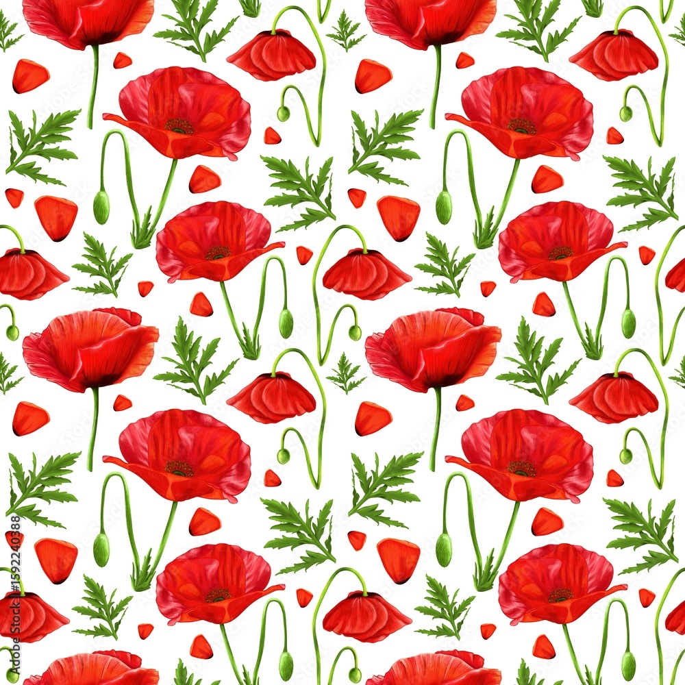 Obraz premium Seamless poppy pattern