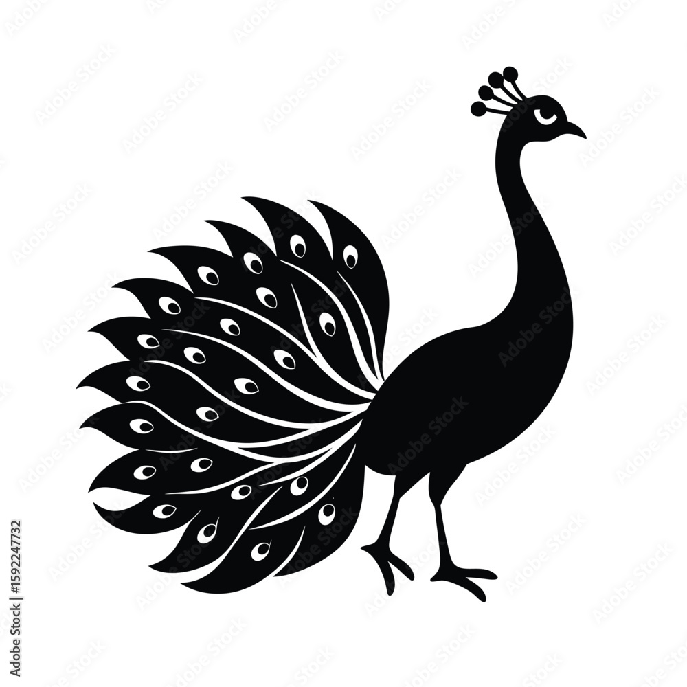 Fototapeta premium Peacock With Majestic Tail Fully Extended Scene Line Art Vector illustration
