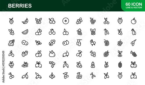Berries Line Icon Set – Modern, minimal, and professional fruit illustrations featuring strawberries, blueberries, raspberries, and organic berry elements