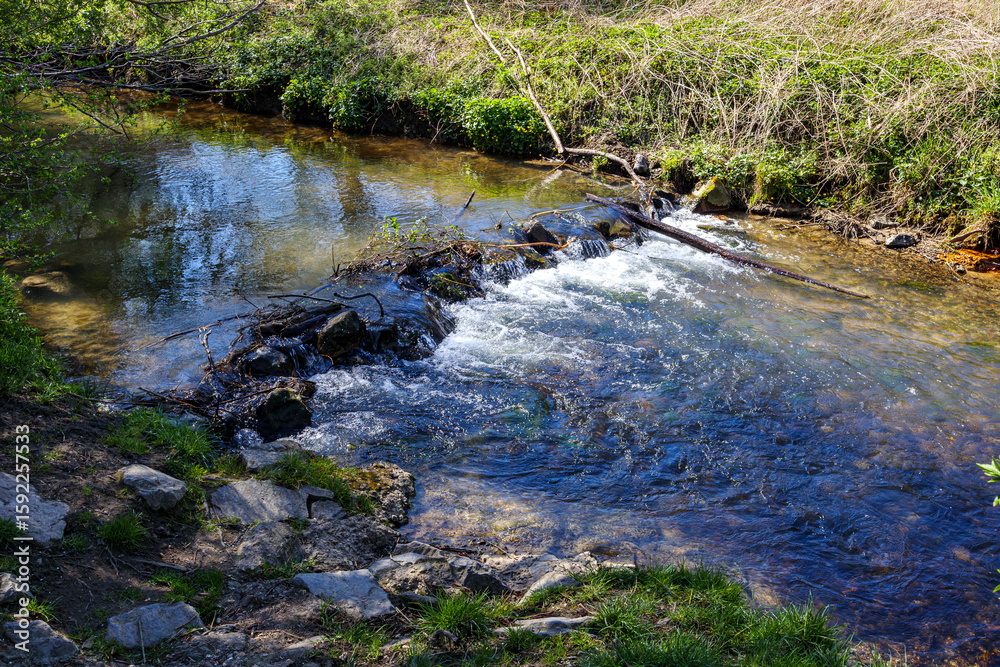 Fototapeta premium Water flowing over stones forming a small waterfall in Gulp River, wild green grass on bank and in the background, low water levels, sunny day in Gulpen, South Limburg in the Netherlands