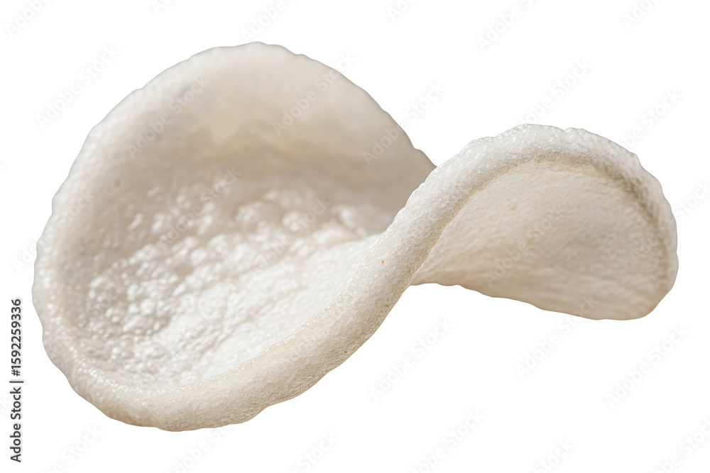 Explore texture of orecchiette pasta italian cuisine culinary delight gourmet food on transparent background Explore texture of orecchiette pasta italian cuisine culinary delight gourmet food on transparent background