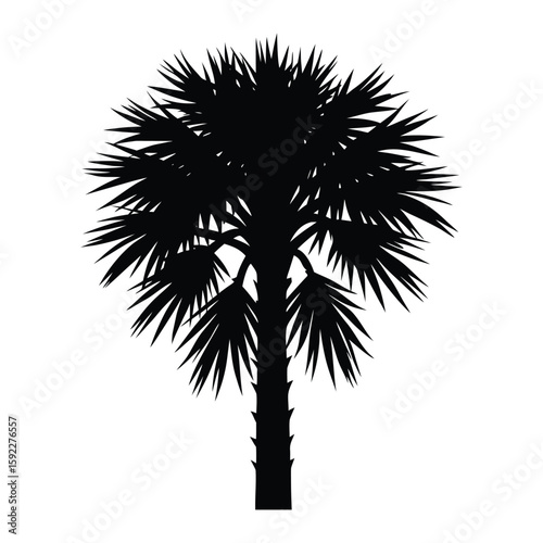 Majestic Palm Tree Silhouette Black and White Image