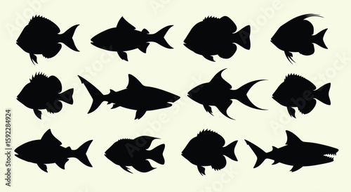 Collection of diverse fish silhouettes representing aquatic life diversity underwater ecosystems ocean fauna marine biology study