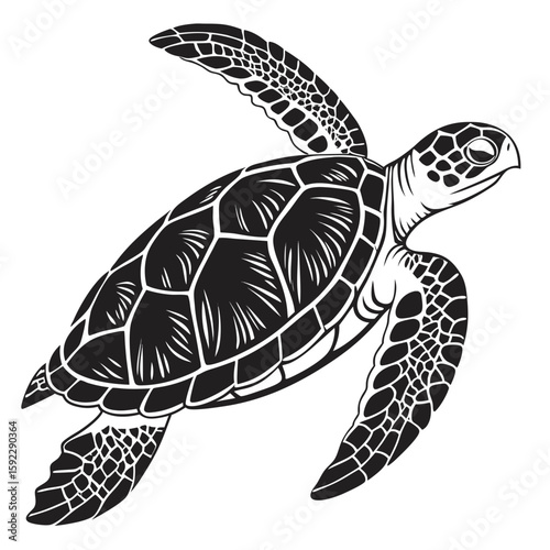 A stylized sea turtle swimming with its flippers extended