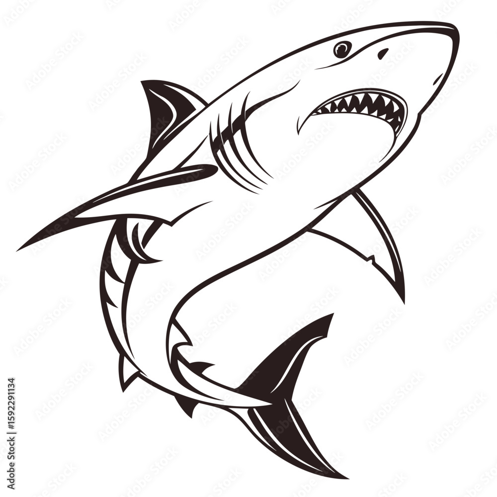 Obraz premium A fierce great white shark illustration with bared teeth