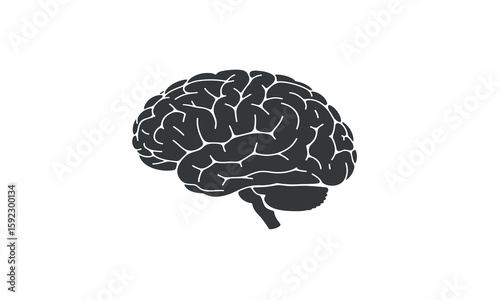 Brain Power Unlock Your Cognitive Potential with this Human Organ Illustration 