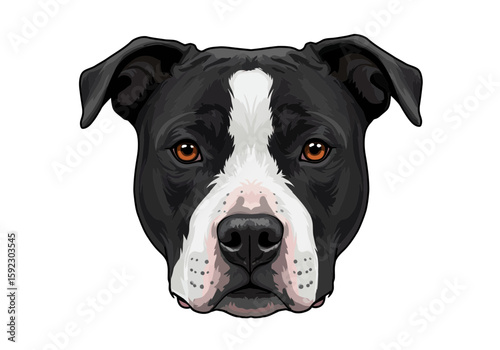 portrait of a black dog