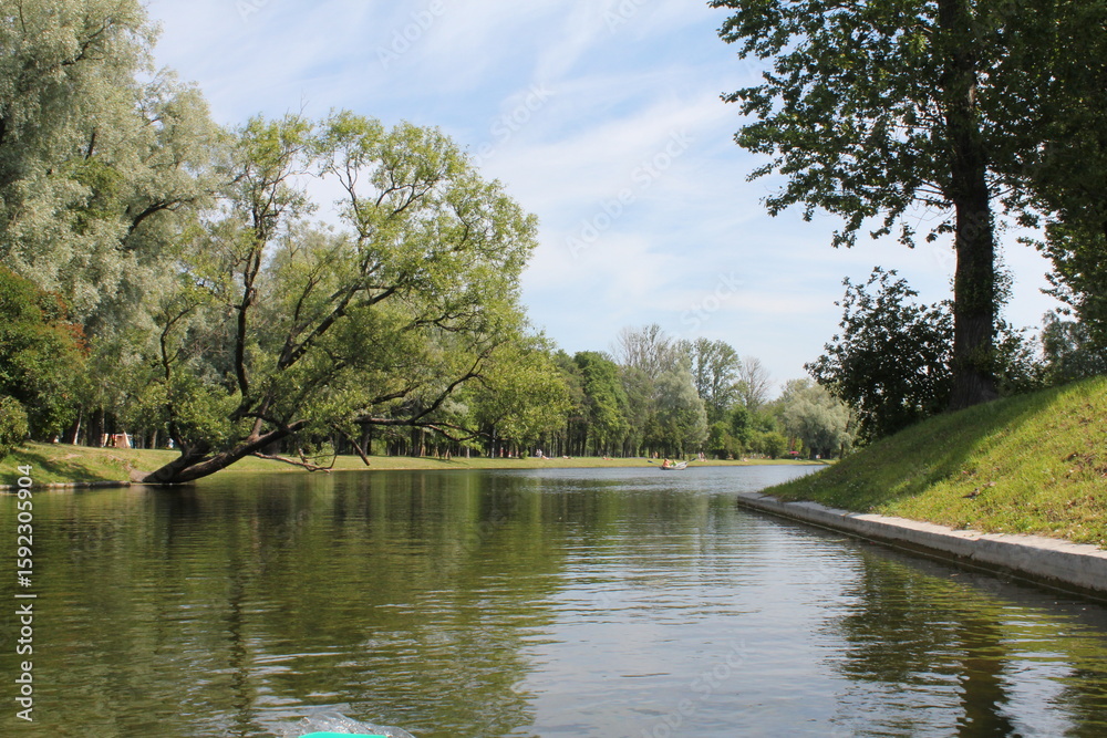 Fototapeta premium river in the park