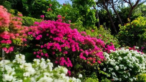 Wallpaper Mural A vibrant garden of colorful flowers with a view of trees and sky Torontodigital.ca