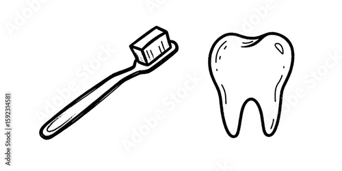 Tooth and toothbrush in chalk drawing style on transparent background  
