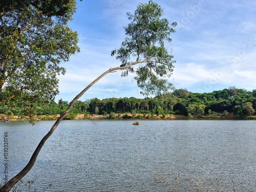Beautiful and clean lake with acacia trees in the foreground