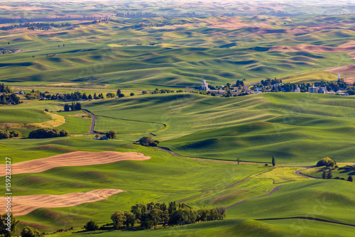 Wallpaper Mural a scenic view of the Palouse, a vast agricultural region in Washington Torontodigital.ca
