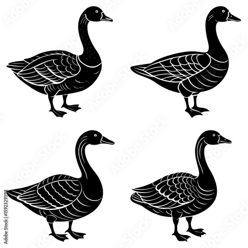 Four elegant black geese standing gracefully on a white background in a simple graphic illustration