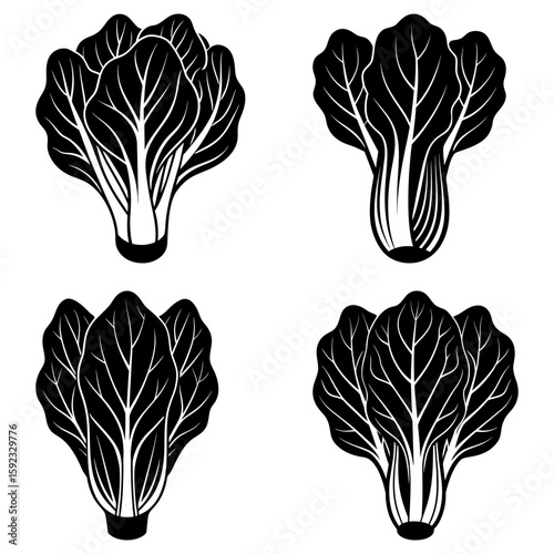 Four bok choy vegetables displayed in a square arrangement with a black and white color scheme design style