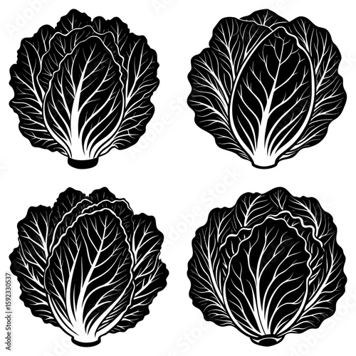 Four stylized black and white napa cabbages arranged in a square pattern on a white background