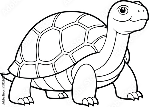 a giant  tortoise one line art with transparent background