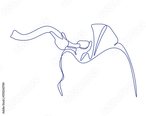 Rosh Hashanah Celebration Line Art Illustration
