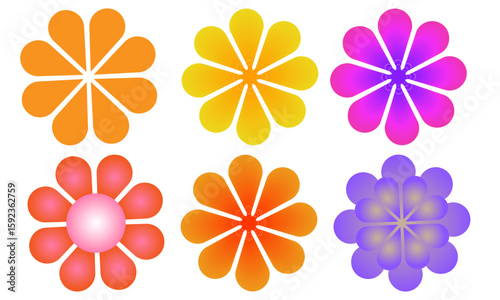 set of colorful flower