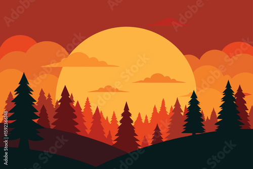 sunset on forest clearing