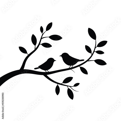 Two birds silhouetted on a branch with leaves