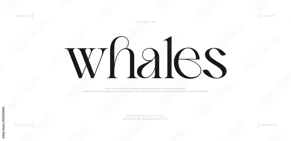 Fototapeta premium Whales Minimal Fashion font alphabet. Luxury modern urban fonts for logo, brand etc. Typography typeface uppercase lowercase and number. vector illustration 