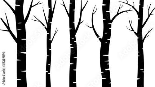 Black and white graphic illustration of birch trees with bare branches forest nature
