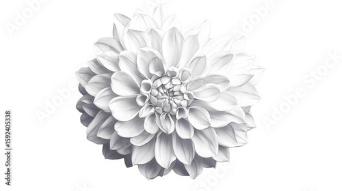 floral png