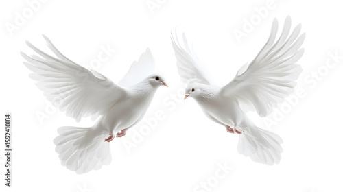 doves flying png
