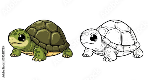 Adorable Baby Turtle Sitting with Cheerful Expression: Split Image