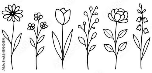 Minimalist Line Drawing of Wildflowers Flowers in Row Vector illustration