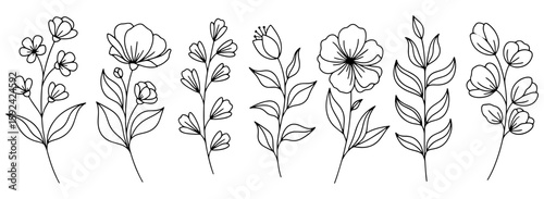 Minimalist Line Drawing of Wildflowers Flowers in Row Vector illustration
